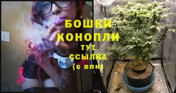 сатива Лагань