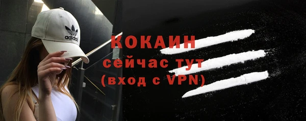 сатива Лагань