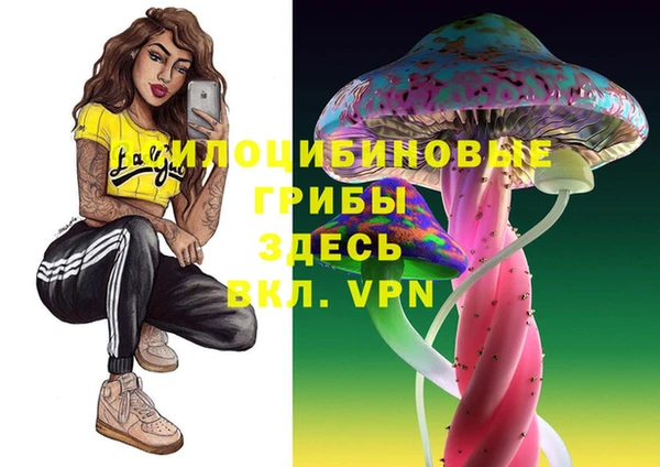 MDMA Premium VHQ Ладушкин