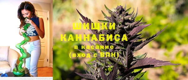 сатива Лагань