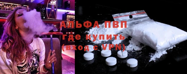 прущие грибы Белокуриха