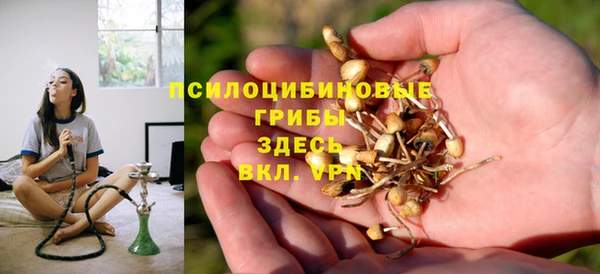2c-b Кукмор